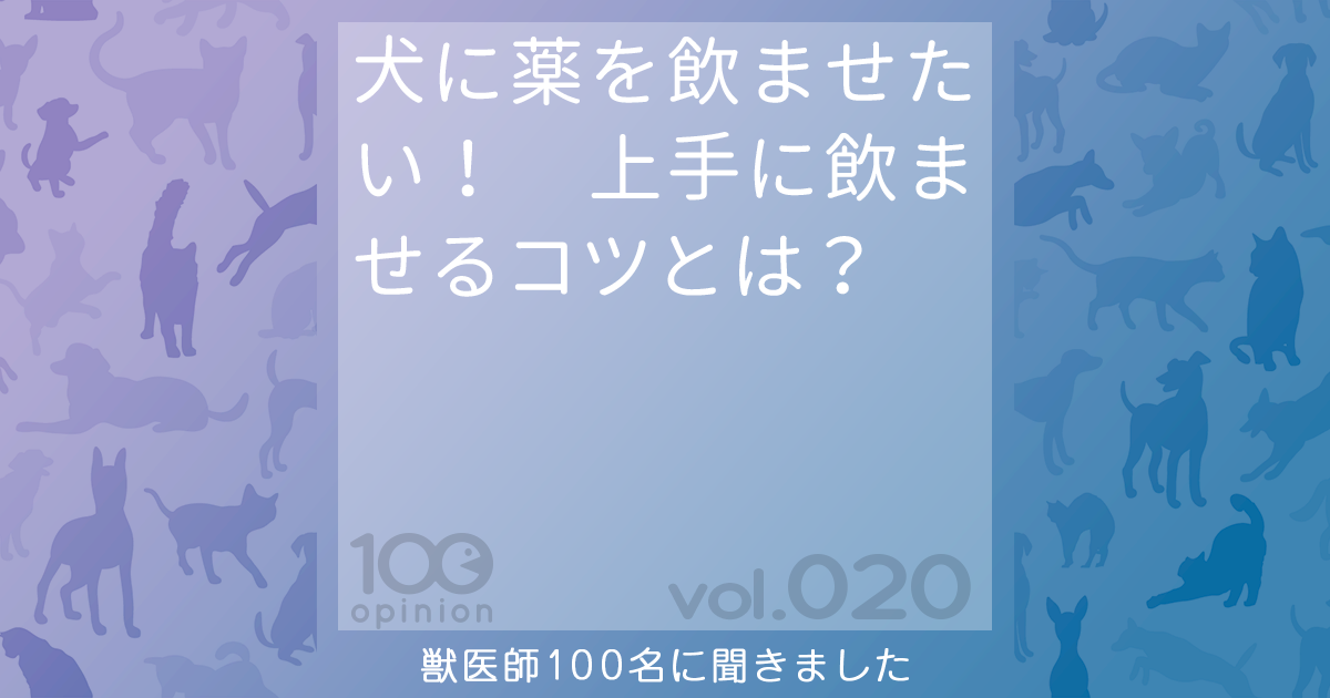 犬に薬を飲ませたい 上手に飲ませるコツとは 100opinion Vet S Eye