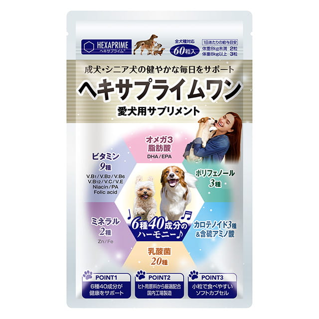 ヘキサプライムワン