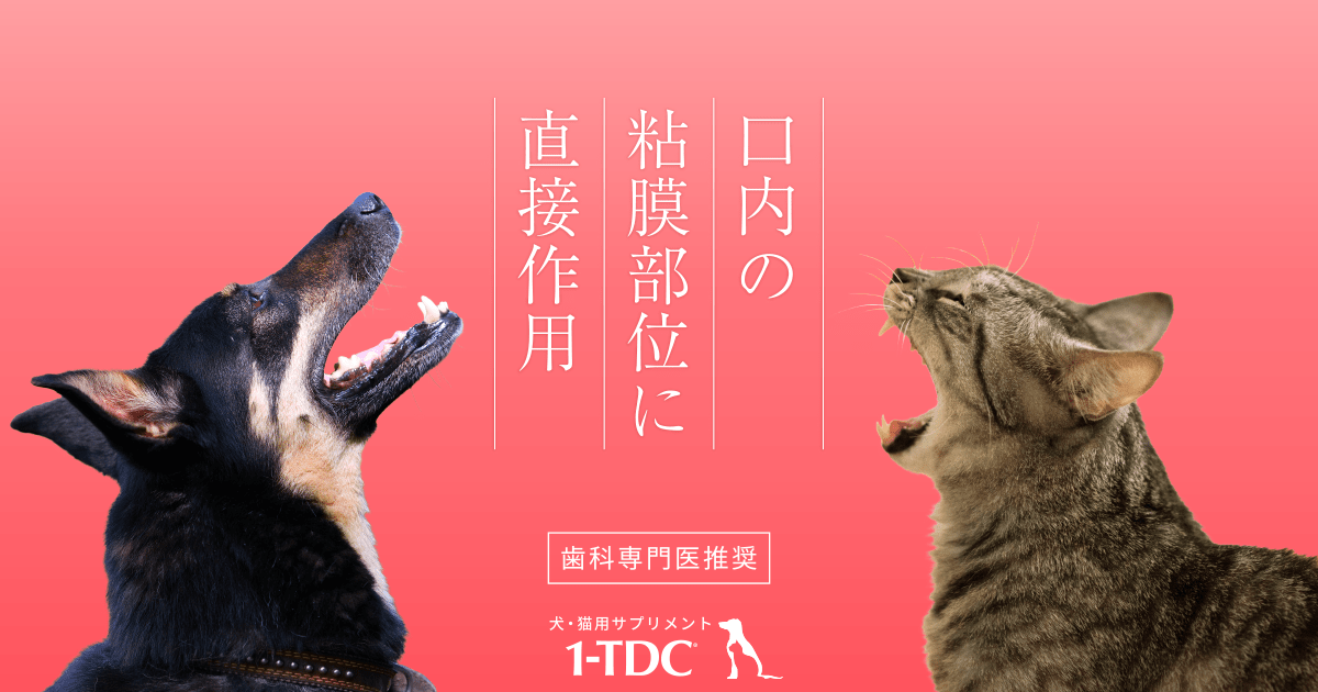 1-TDC® - 歯茎・歯肉をサポート！犬猫用栄養補助食品